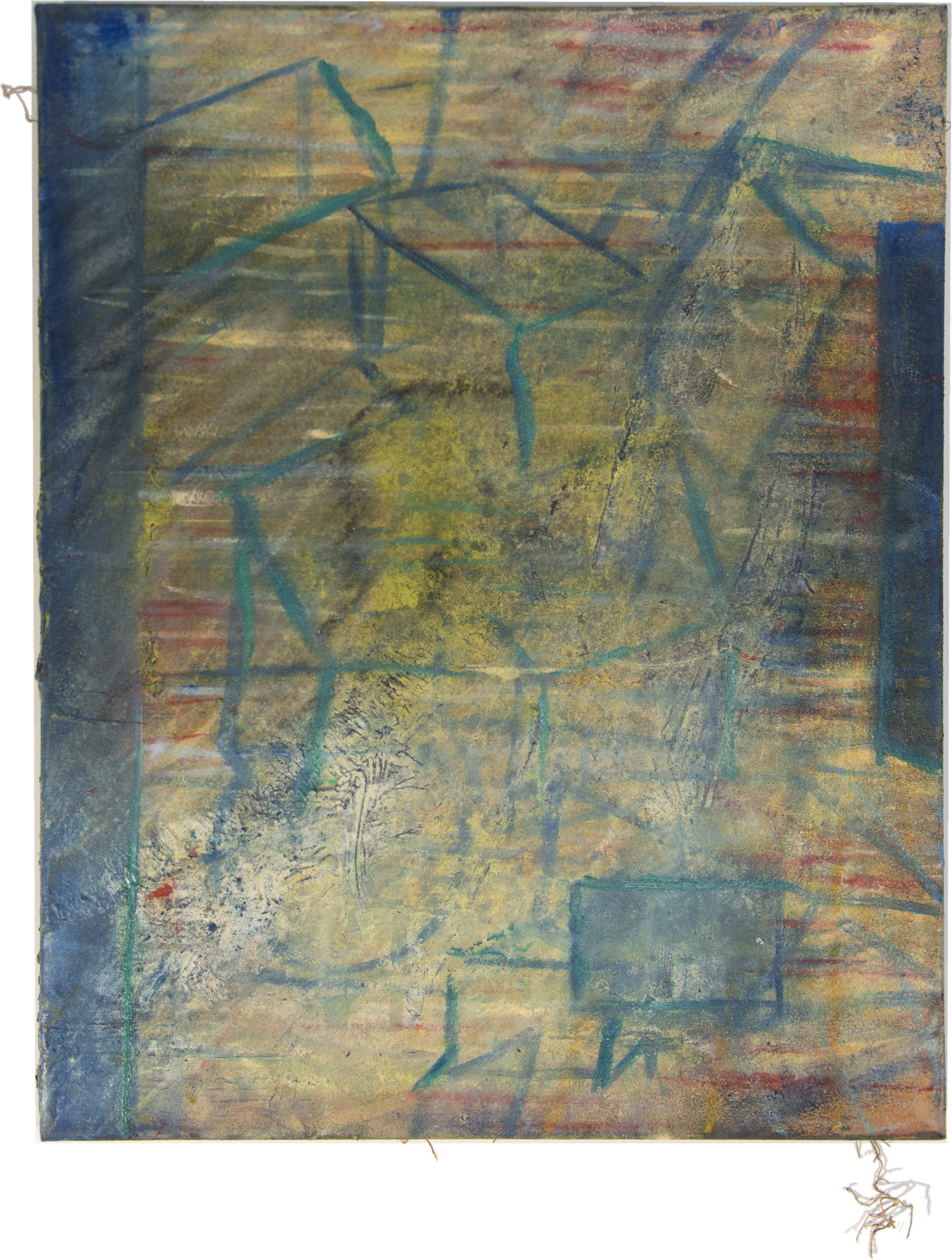 study (14)