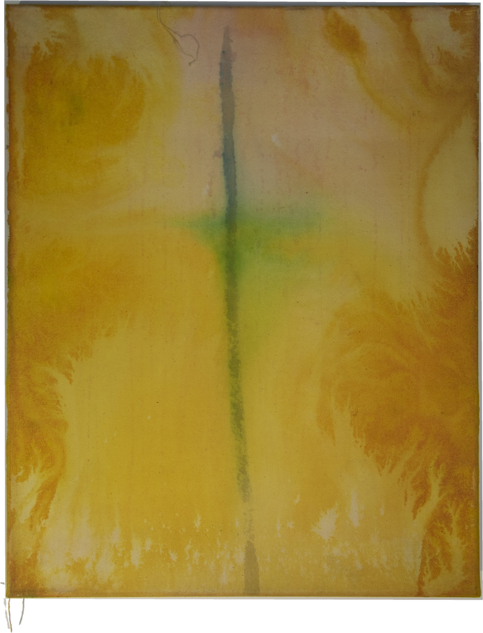 study (3)